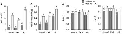 Food and agricultural wastes-derived biochars in combination with mineral fertilizer as sustainable soil amendments to enhance soil microbiological activity, nutrient cycling and crop production